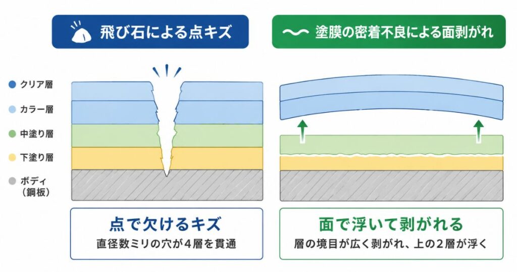 飛び石による点キズと塗膜の密着不良による面剥がれの断面比較