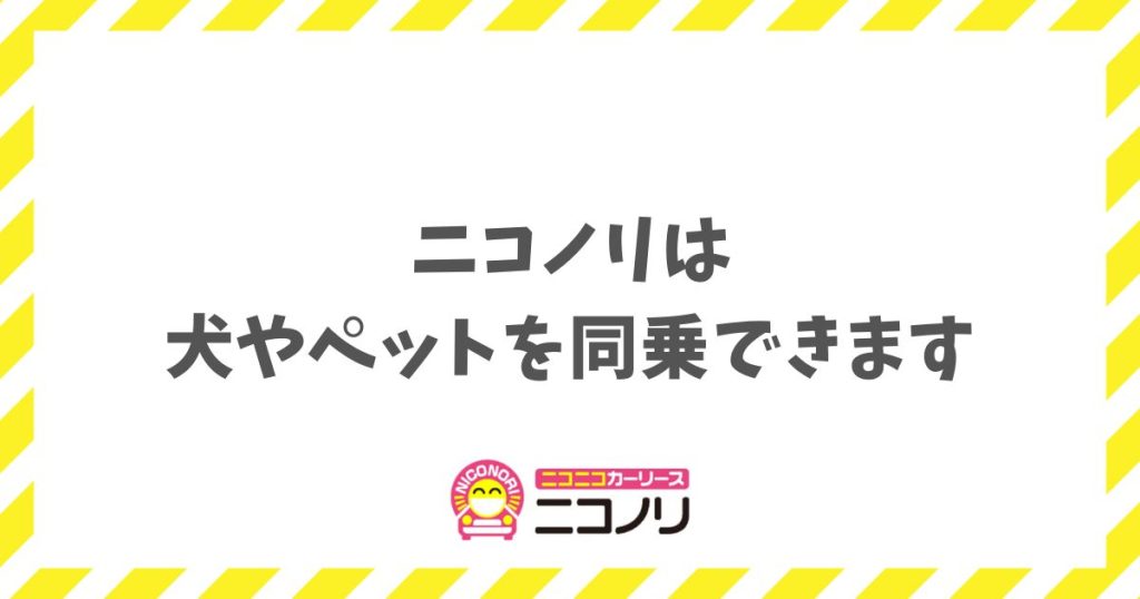 ニコノリはペットや犬との同乗も可能？愛犬家におすすめのプランとポイント